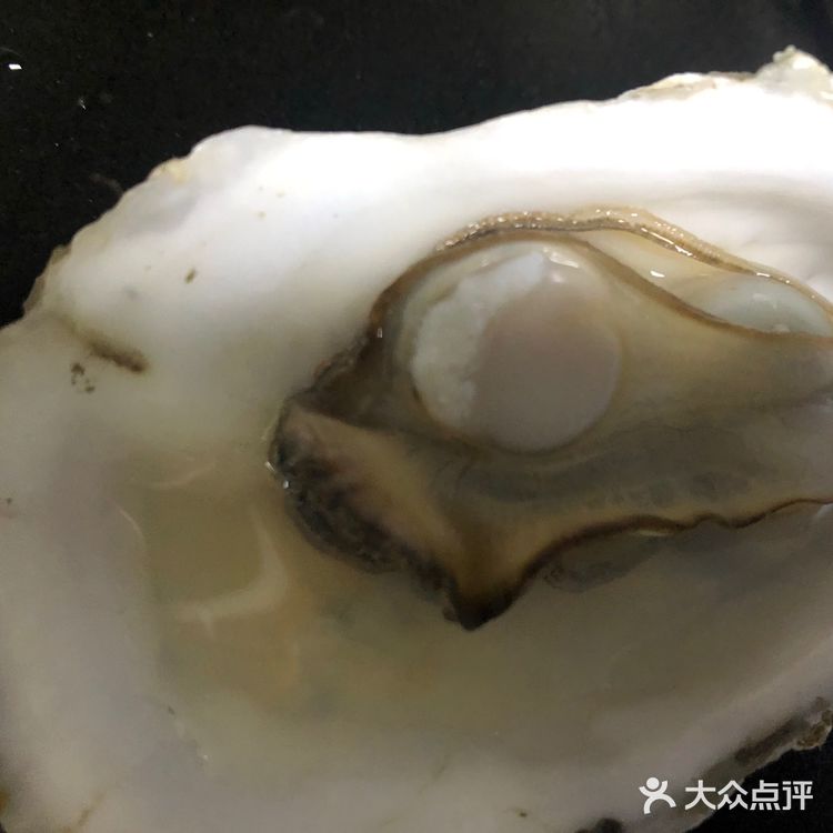 最近生蚝🦪便宜了耶，就喜欢吃这个海鲜
