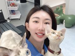 -琪喵猫屋·撸猫猫咖·猫舍