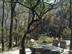 -封龙山风景区