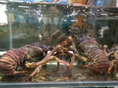 -蚝得喜海鲜(东城店)