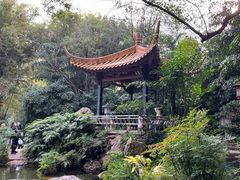 -广州兰圃