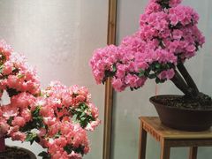 -井冈山风景名胜区