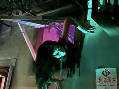 -棂笼·深度沉浸密室(武汉旗舰店)