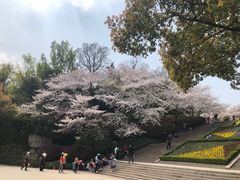 -杭州少年儿童公园