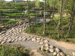 -长田漾湿地公园
