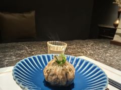-觀芷隐轩