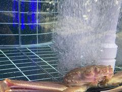 -巧克力渔家.小船海鲜家常菜(三浴场店)