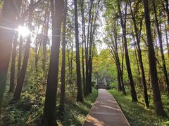-同里国家湿地公园