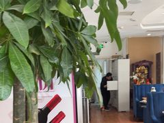 -花舍·新派粤菜·西餐·下午茶(亚运村·鸟巢店)
