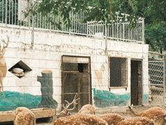 -青藏高原野生动物园