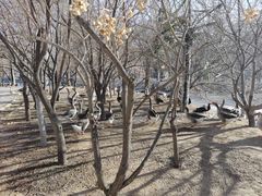 -鄂尔多斯野生动物园