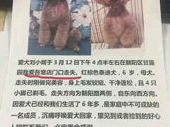 -我爱吾宠宠物美容院(朝阳路店)