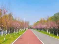 -艾溪湖湿地公园