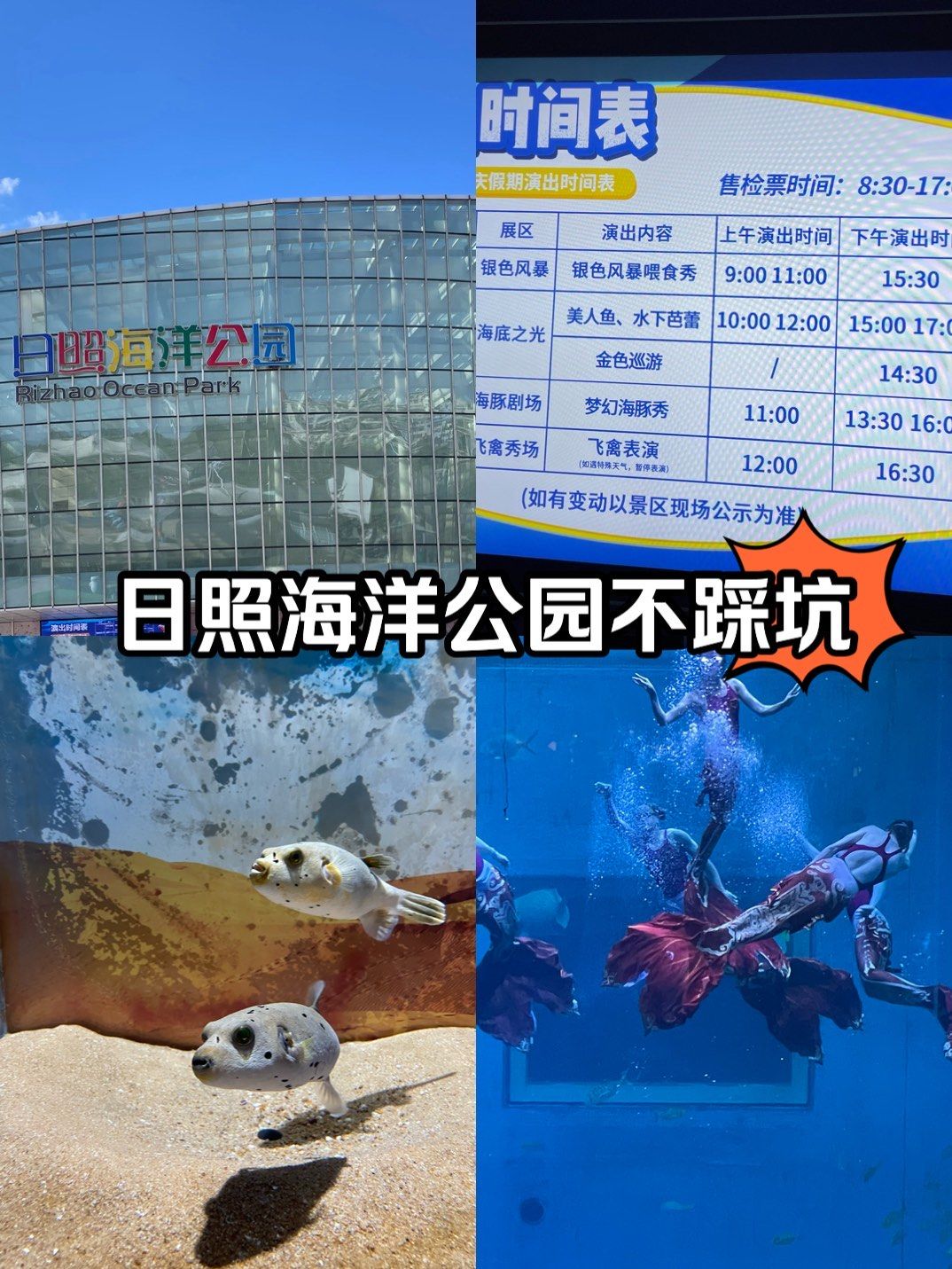 日照海洋公园附演出时间表