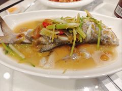 -日日香卤鹅饭店·澄海狮头鹅(澄海店)