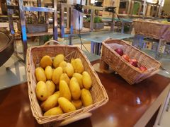 -元一希尔顿酒店·禅自助餐厅·啤酒花园
