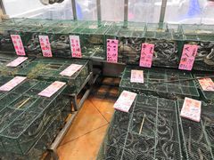-荔城生鲜盛宴(番禺旗舰店)