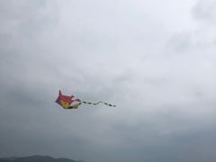 -大姆山草场