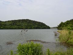 -南京市无想山景区