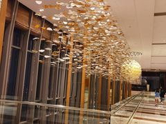 -视界美食自助餐厅·石家庄希尔顿酒店