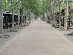 -杨柳青庄园