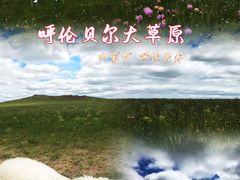 -呼伦贝尔大草原