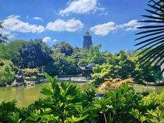 -红梅公园