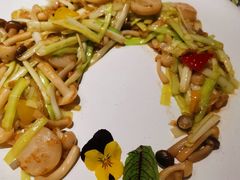-青梅酒肆PLUS(长白仙岛北路店)