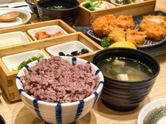 -胜博殿日式炸猪排(西红门店)