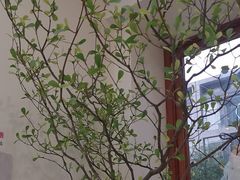 -山与蓝·轻糖鲜果蛋糕(勒泰店)
