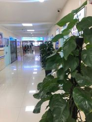 -成都军建医院·疤痕诊疗中心