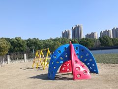 -菊园百果园
