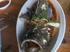 -四川人郑霞海鲜