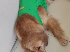-怪兽屋·羊驼·猫咖·狗咖(俊华广场店)