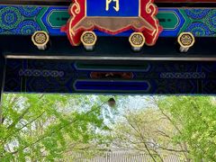 -北京国子监胡同
