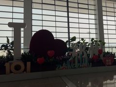 -郑州新郑国际机场