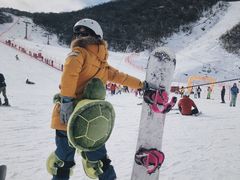 -太子岭滑雪场