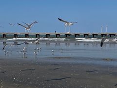 -ChanDu躔度咖啡(灯塔店)