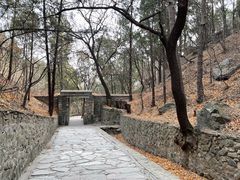 -香山公园