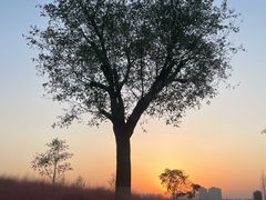 -汉长安城未央宫国家考古遗址公园