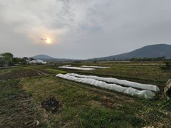 -长洲岛