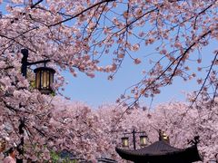 -苏州上方山国家森林公园