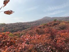 -周口店坡峰岭风景区