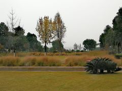 -眉山湿地公园(东坡区)