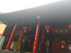 -灵谷景区