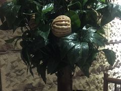-云来居素食馆(南山店)
