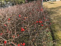 -杭州城北体育公园