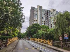 -大华梧桐墅大公馆