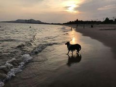 -沙扒湾