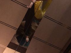 -常州环球恐龙城维景国际大酒店